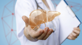 Healthy Liver